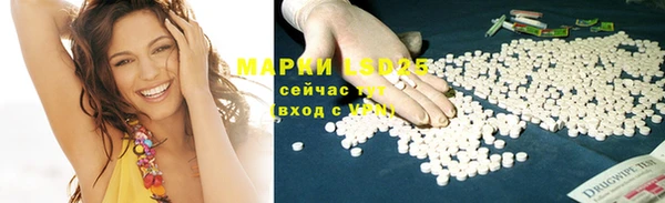 прущие крисы Надым