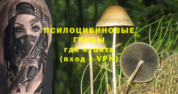 прущие грибы Балахна