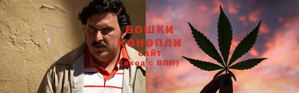 прущие грибы Балахна
