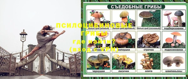 прущие грибы Балахна