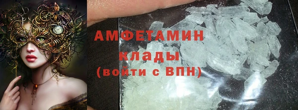прущие грибы Балахна