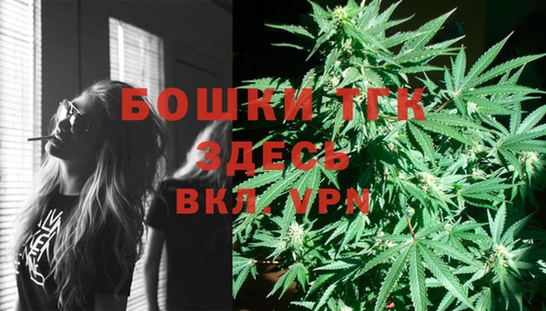 прущие грибы Балахна