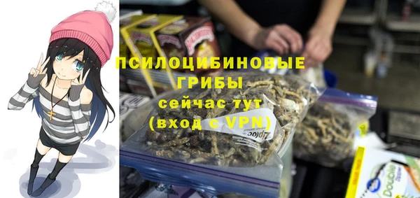 прущие грибы Балахна