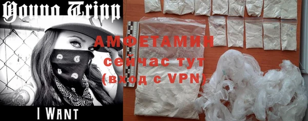 прущие грибы Балахна