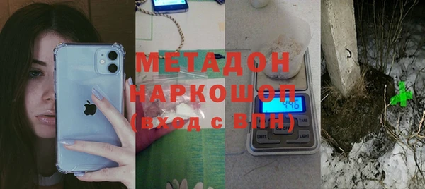 прущие грибы Балахна