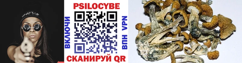 Галлюциногенные грибы GOLDEN TEACHER  Пересвет 